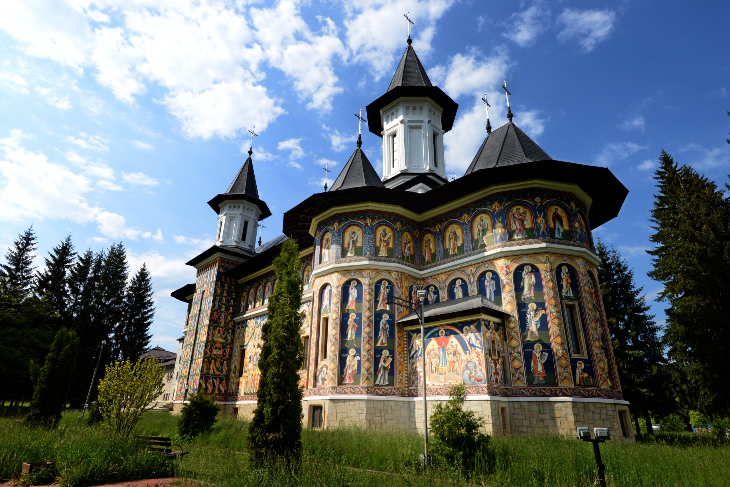 by Vasile Valesecanu (absolvent)